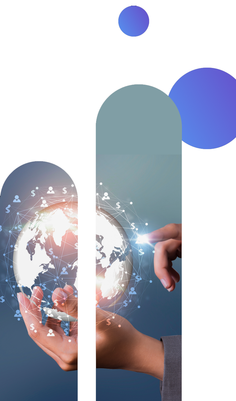 TransNetwork logo