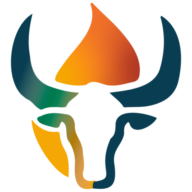 Longhorn Energy logo