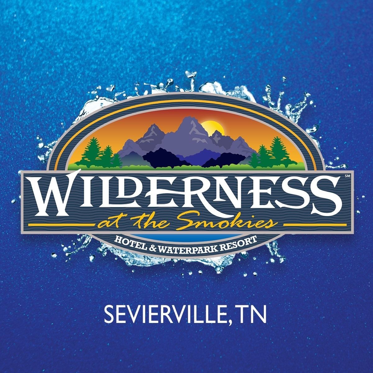 Wilderness at the Smokies logo