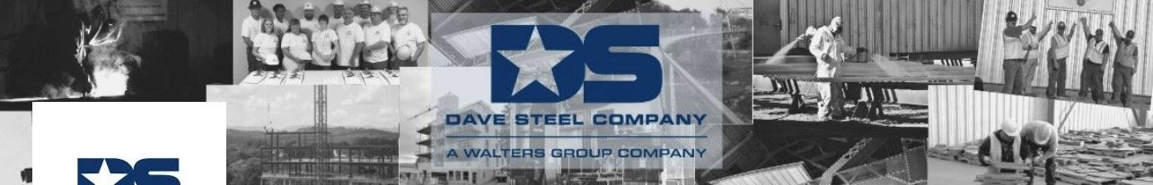 Dave Steel logo