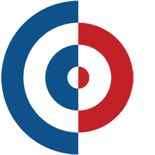 DSPolitical logo