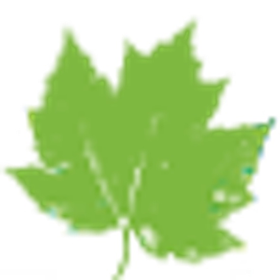 Carroll Institute logo