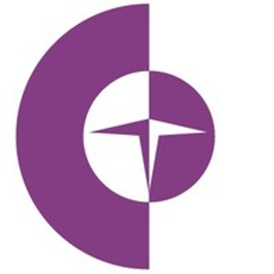 Chicago Trading Company logo