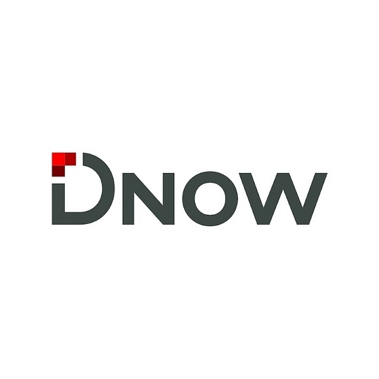 DNOW L.P. logo