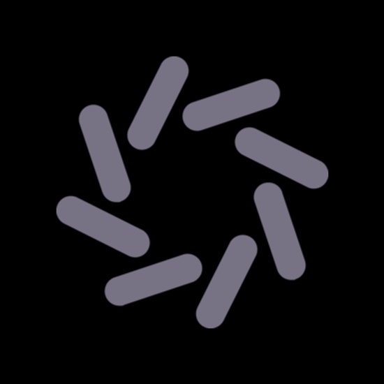 Domino Data Lab logo