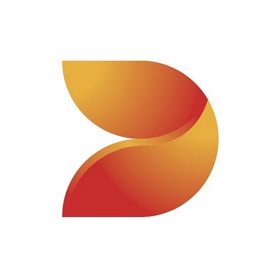 DS Smith Packaging logo