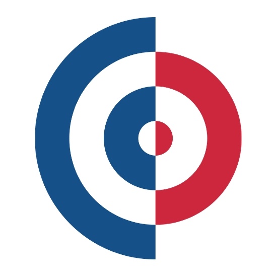 DSPolitical logo