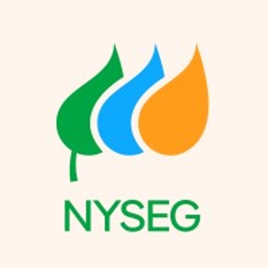 Schneider Electric logo