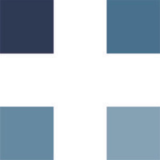 Envision Physician Services logo