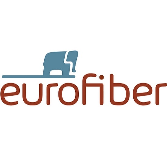 Eurofiber1 logo