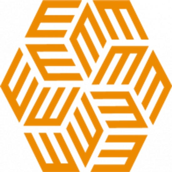 EVERSANA logo