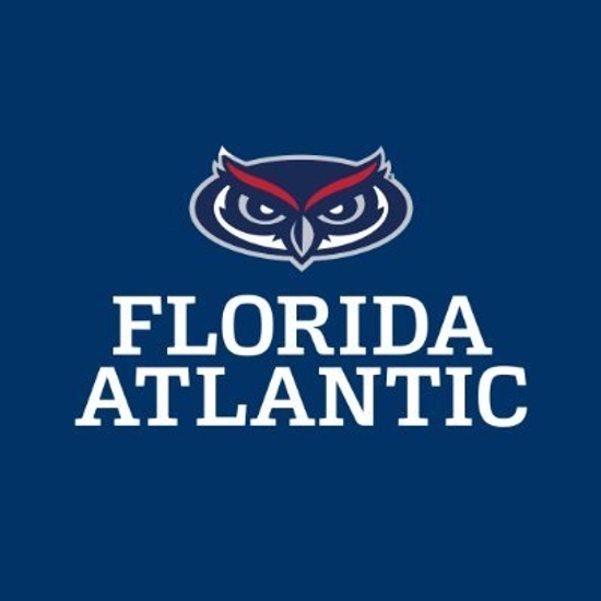 Fau logo