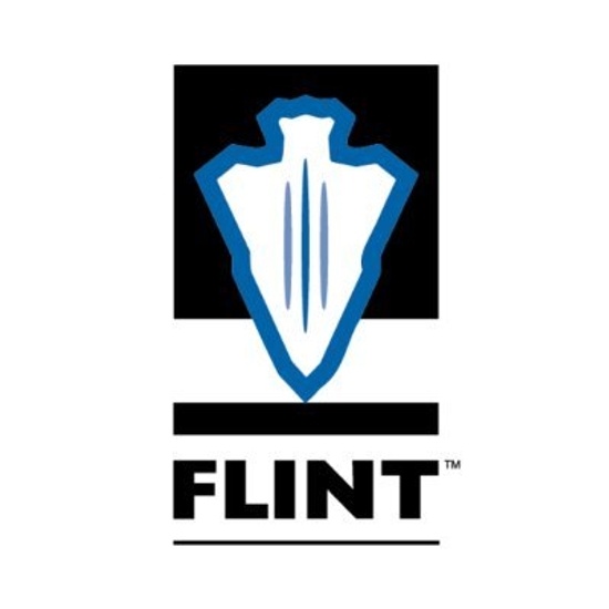 Flint logo