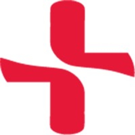 Forms Surfaces logo
