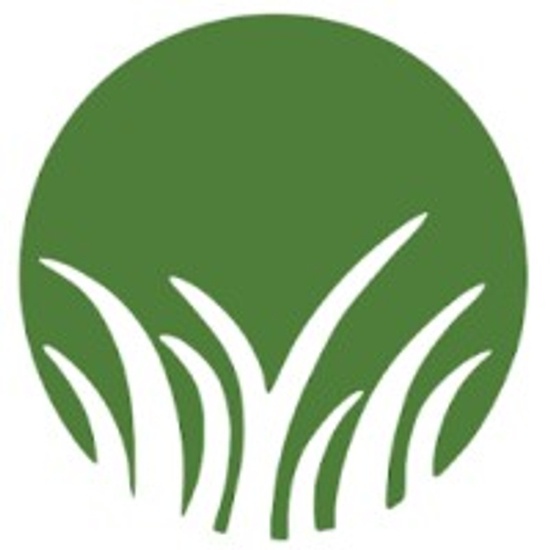 Grassroots Analytics logo