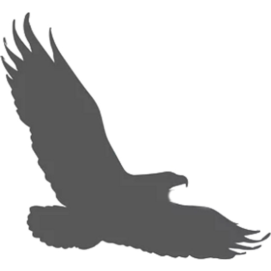 Gray Hawk Land Solutions logo