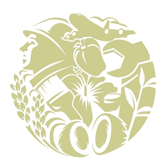 Hayleys logo