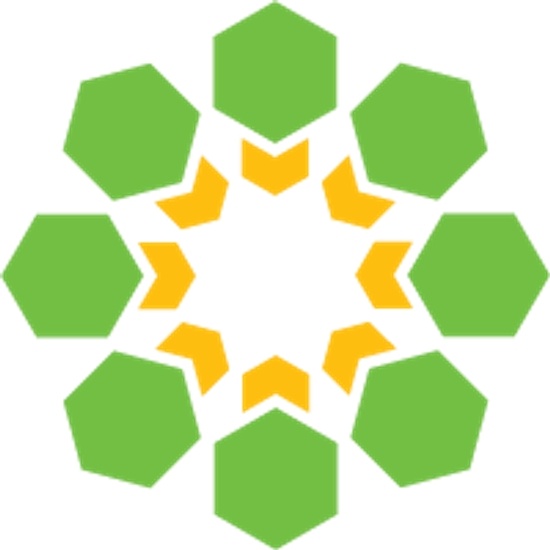 Hyve Solutions logo