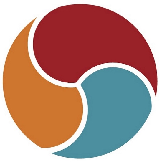 IFS logo