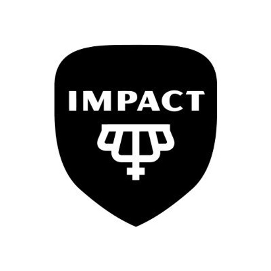 Impact Kitchen logo