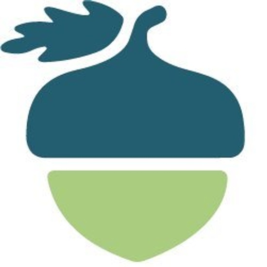 Internal Acorn Health logo