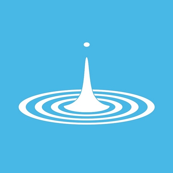Liquid Instruments logo