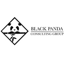BLACK PANDA CONSULTING GROUP INC logo