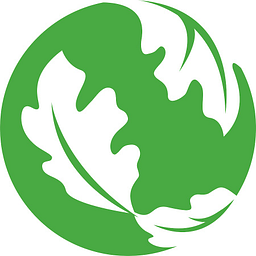 Illuminate Montessori logo