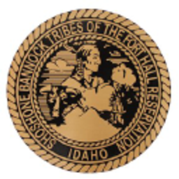 TRIBES logo