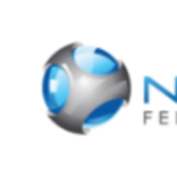 NextGen Federal Systems logo