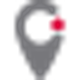 LJI logo