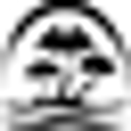 SYNERGY HomeCare logo
