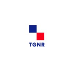 TG LOG logo