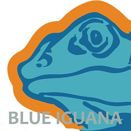 Blue Iguana Car Wash logo