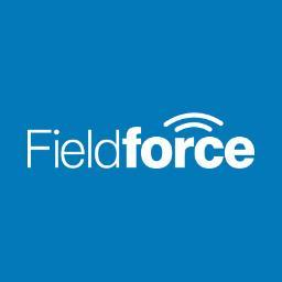 Fieldforce Merchandising logo