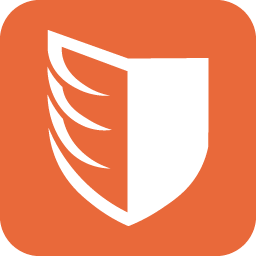 Paladin Drones logo