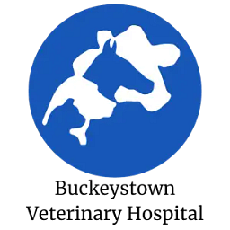Buckeystownveterinaryhospital logo