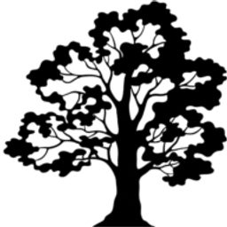 Foothills Speech & Language, Inc. logo