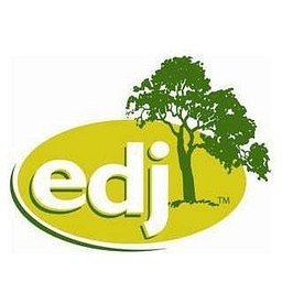 Edj Service LLLC logo