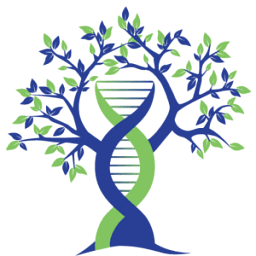 Evexias Health Solutions logo
