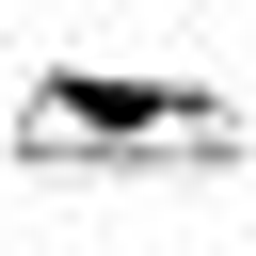 R W Martin & Sons Inc logo
