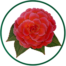 Quitman logo