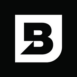 Bluestorm logo