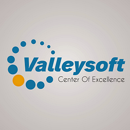 Valleysoft 1 logo