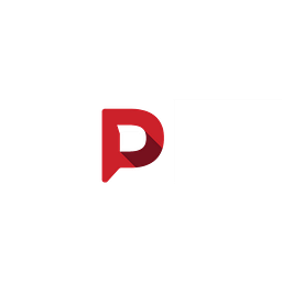Direct Persuasion logo