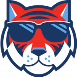 TigerWash logo