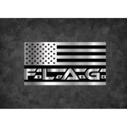 Flag Solutions Llc logo