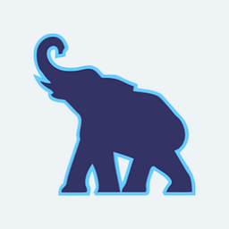 Vemserblue logo