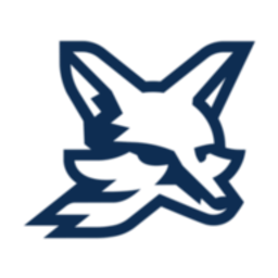 Fox Innovation Technologies logo