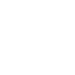 Smith & Western logo